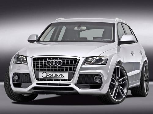 Расширители колёсных арок AUDI Q5 2008_1