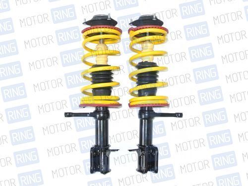 Стойки передней подвески в сборе BILSTEIN (Бильштайн), масляные для Лада Приора_1