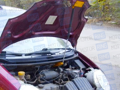 Упор капота 8231.5800.04 для Daewoo Matiz (2000)_1